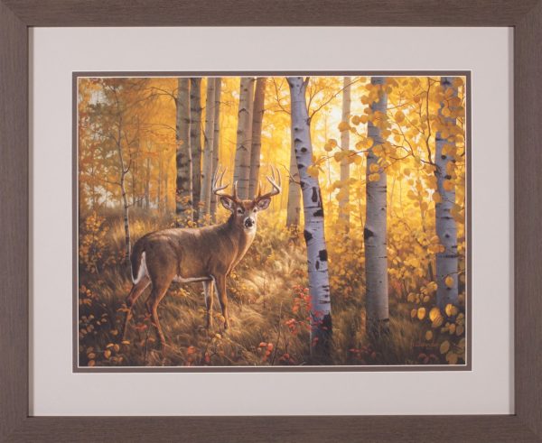 Art Effects Whitetail in Aspens Wall Art by Greg Alexander For Discount