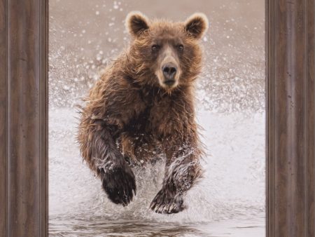 Art Effects Bears at Play II Wall Art by PH Burchett For Cheap