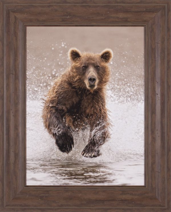 Art Effects Bears at Play II Wall Art by PH Burchett For Cheap