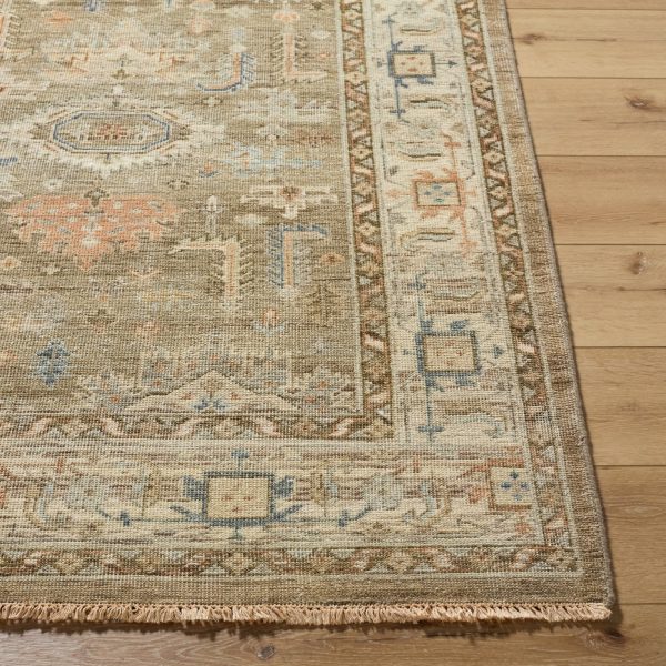 Surya Bijar BIJ-2301 Area Rug Online now