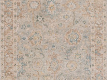 Safavieh Samarkand SRK122D Grey   Gold Area Rug on Sale