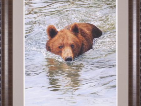 Art Effects Bear Swimming Wall Art by David Stribbling For Discount