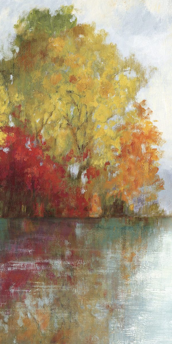 Art Effects Forest Reflection II Wall Art by Asia Jensen Sale