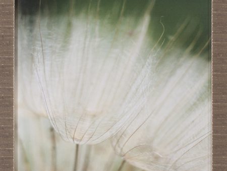 Art Effects Macro Dandelion I Wall Art by Renee W Stramel Hot on Sale