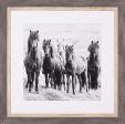 Art Effects Black and White Horses VIII Wall Art by PH Burchett Fashion