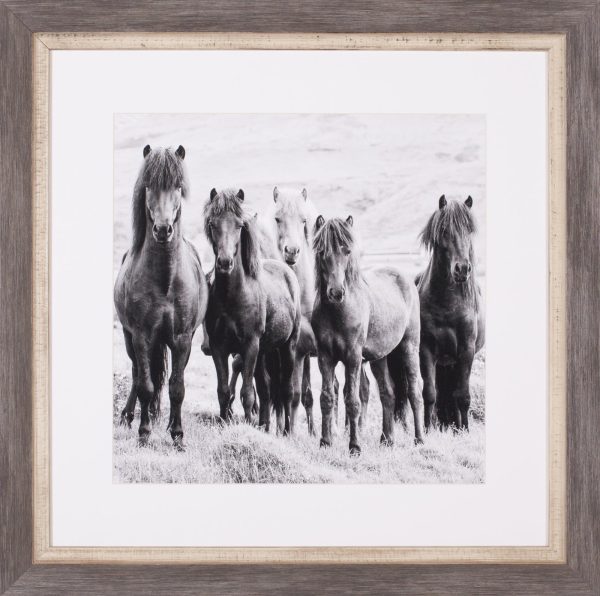 Art Effects Black and White Horses VIII Wall Art by PH Burchett Fashion