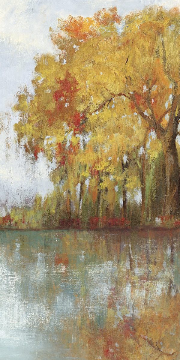 Art Effects Forest Reflection I Wall Art by Asia Jensen Hot on Sale