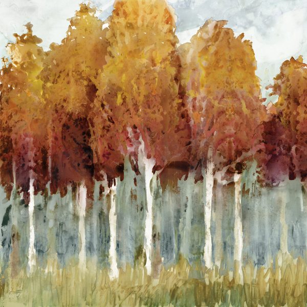 Art Effects Birch I Wall Art by Edward Selkirk Sale