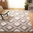 Safavieh Natura NAT203H Dark Grey   Ivory Area Rug Online Sale