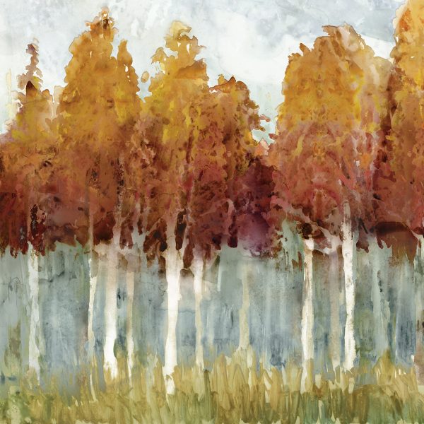 Art Effects Birch II Wall Art by Edward Selkirk For Cheap