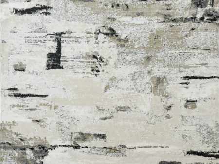 Ancient Boundaries Henri HEN-1162 Grey Area Rug Sale