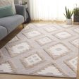 Safavieh Natura NAT203Z Brown   Ivory Area Rug Sale