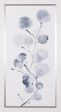 Art Effects Gray Botanical II Wall Art by Jos� Alvarez Discount