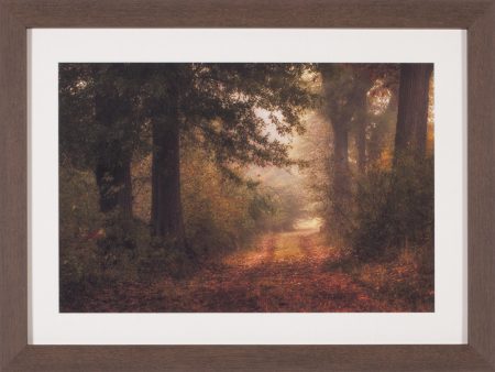 Art Effects Autumn s Walk III Wall Art by Danny Head on Sale