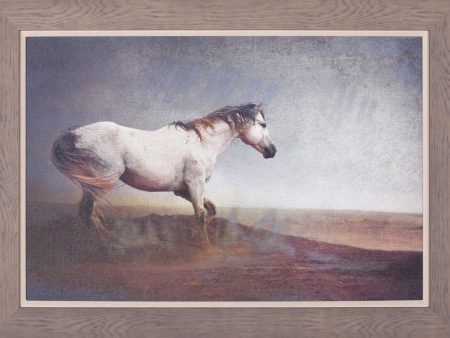 Art Effects White Horse Dust Storm Wall Art by Chris Vest Discount