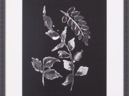 Art Effects Assorted Leaves On Black II Wall Art by Patricia Pinto Online