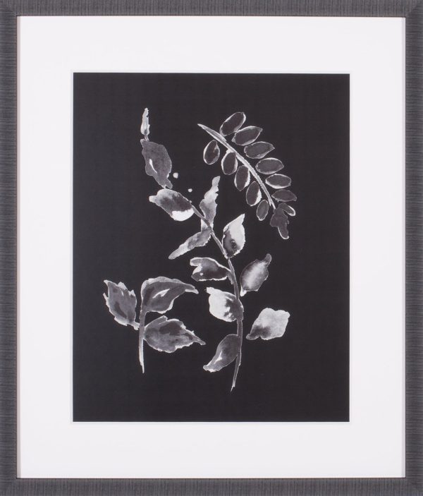 Art Effects Assorted Leaves On Black II Wall Art by Patricia Pinto Online