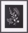 Art Effects Assorted Leaves On Black II Wall Art by Patricia Pinto Online