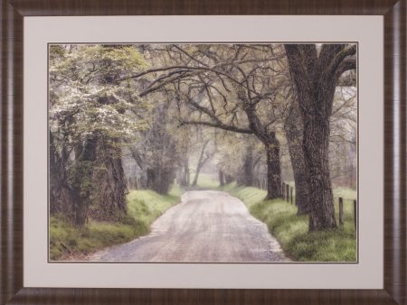 Art Effects Nature Trail Walks Wall Art by Andy Amos Supply