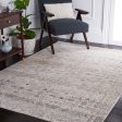 Safavieh Princeton PRN908A Ivory   Blue Area Rug Sale