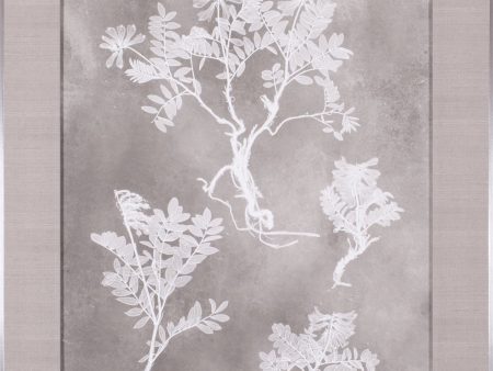 Art Effects Herbarium Study II Wall Art by Vision Studio Discount