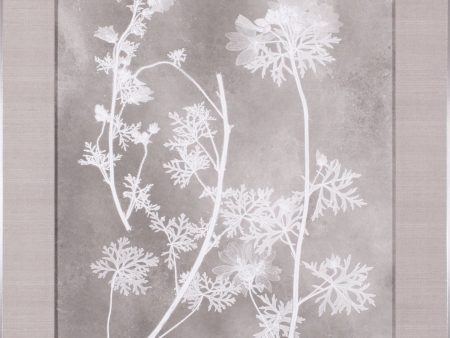 Art Effects Herbarium Study IV Wall Art by Vision Studio For Sale