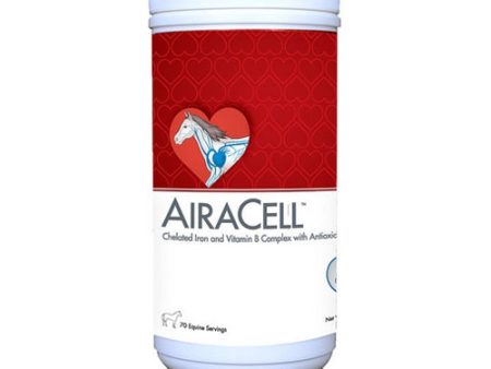 AiraCell Iron & Vitamin B Equine Supplement Powder 42o Grams by Bio-Nutrition Laboratories For Cheap